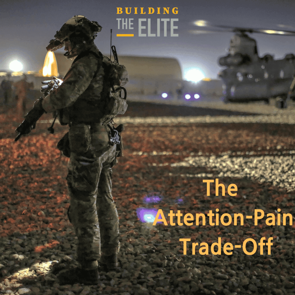 The Attention-Pain Trade-Off