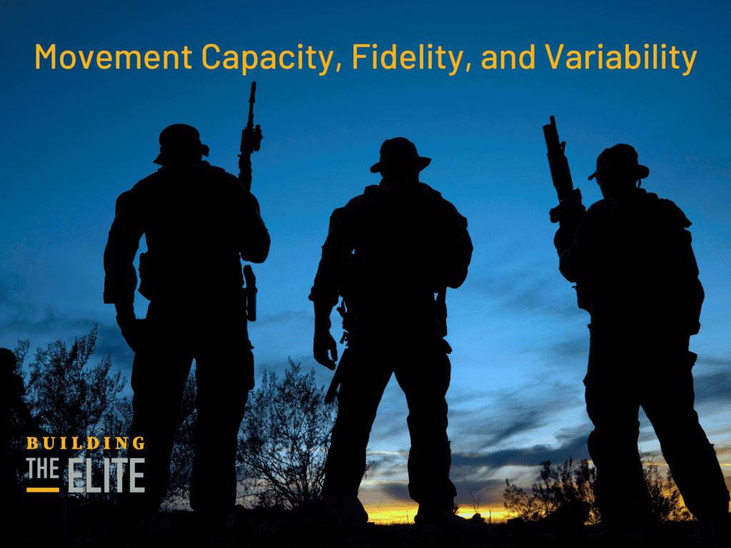 Movement Capacity, Fidelity and Variability (2)